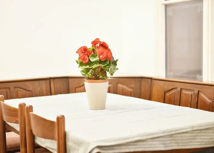 Charming Spacious Apartment