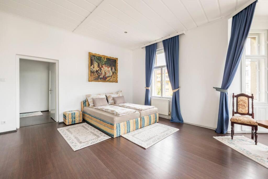 Charming Spacious Apartament